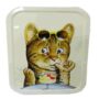 Small Tobacco Tin / Multipurpose Box